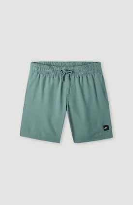 Future Surf Society 14'' Swim Shorts | North Atlantic